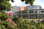 Hollings Campus