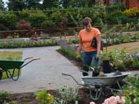 Planting Volunteers at Cheadle Royal Hospital