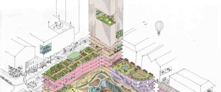 A Design for Life: Urban practices for an age-friendly city