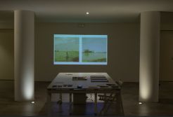 "Eco-Synthetic Dreams", curated by the Common Voices Collective