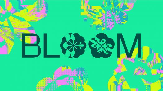 BLOOM - Degree Show 2025