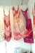 WINDSOR Claire02.jpg