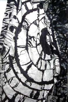 Quinlivan Frances6 