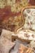 Litherland Caroline5.jpg